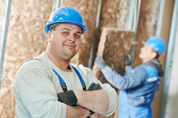 Best Residential Insulation in Cicero, IN