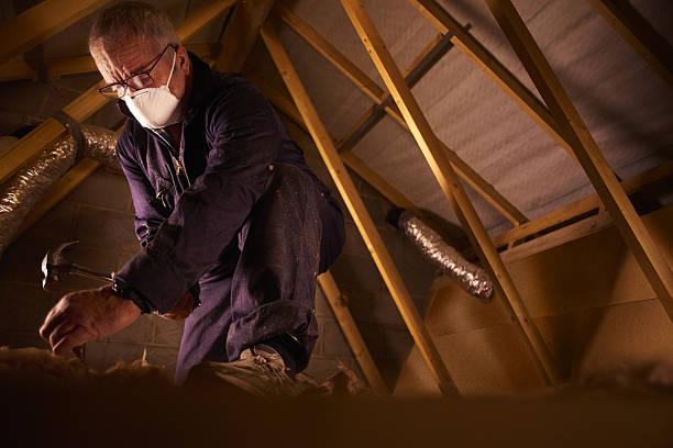Best Specialized Insulation Services in Cicero, IN